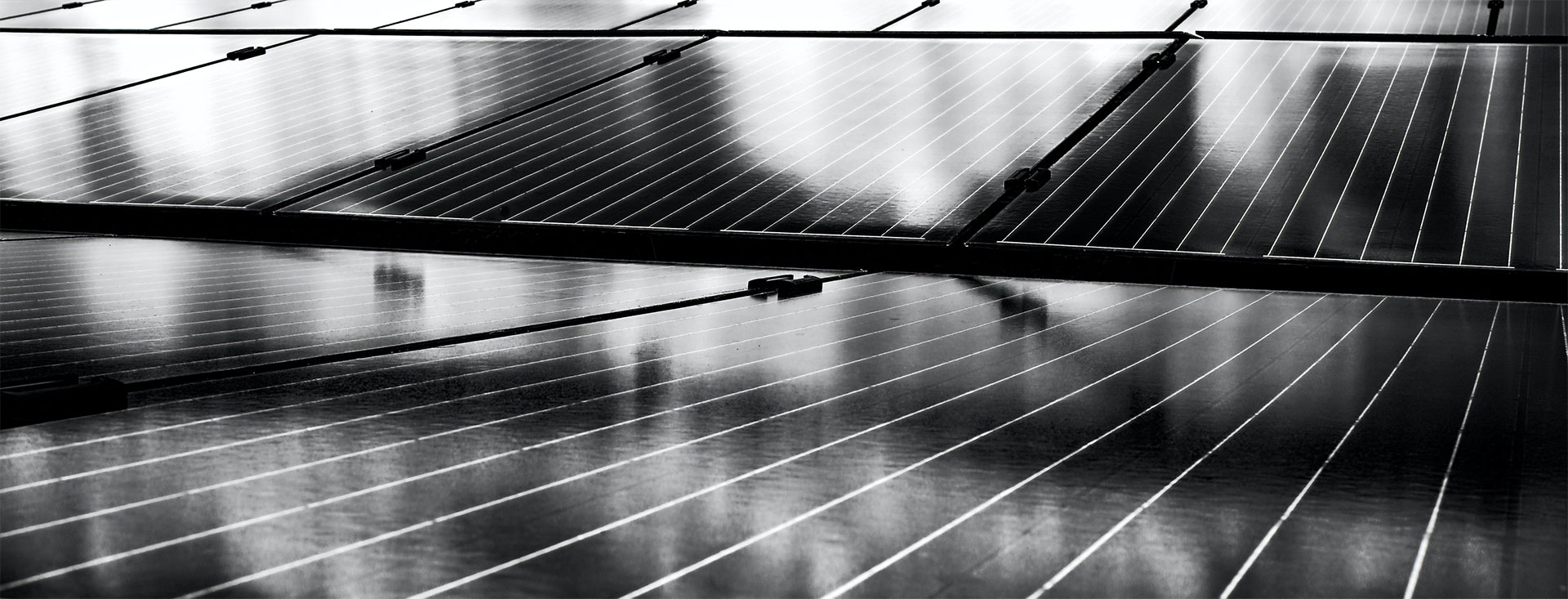 Solar panel. Photo.